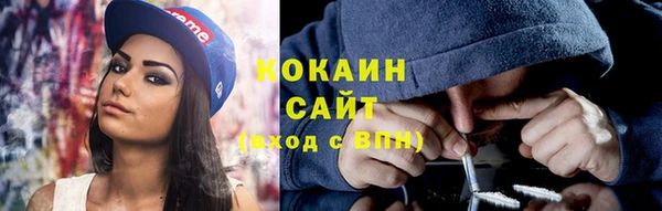 МДПВ Алзамай
