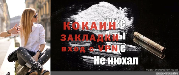гидра Алексин