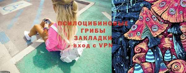 спиды Сафоново