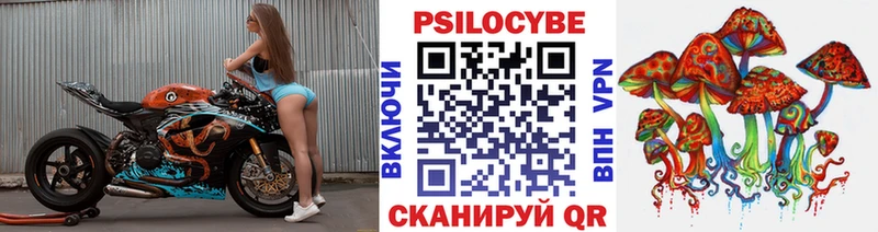 Галлюциногенные грибы Psilocybe  магазин    Богучар 